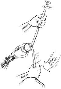 "Tech Tips - Sport - Hands down"