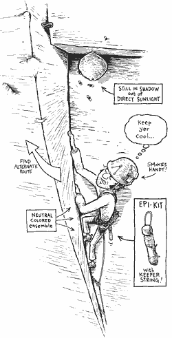 Tech Tip - Trad - Avoiding the sting Tech Tip - Trad - Avoiding the sting