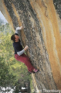 blackmtn1_226_12 None