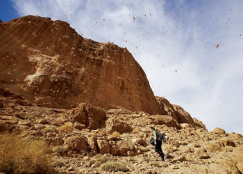 CLMP-060200-MOROCCO-6_632 None