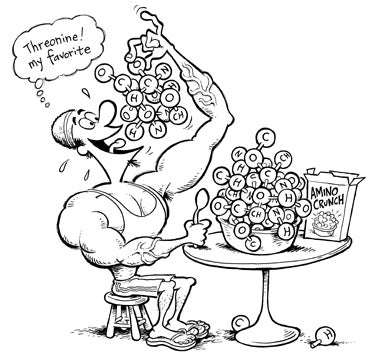 Tech Tip - Training - Amino-Acid Trip Tech Tip - Training - Amino-Acid Trip