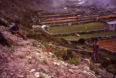 Major Grant To Protect Alpine Ecosystem Major Grant To Protect Alpine Ecosystems Worldwide