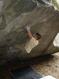 pringle-PB4-dominator2_200_1605 None