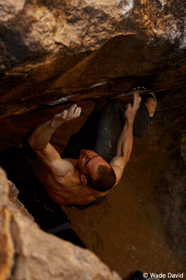 je_full_monty_v12_hueco_2096 None