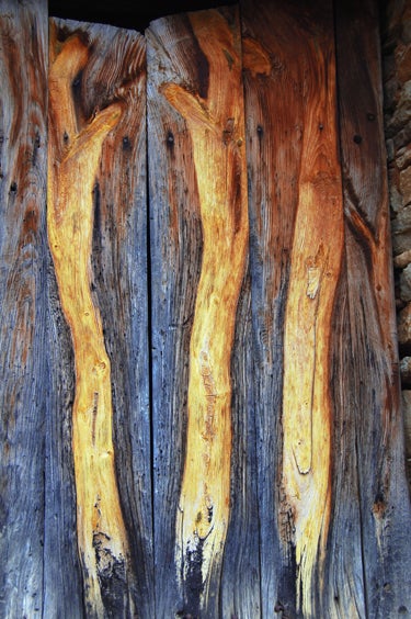 DGPB11-Wooden-Door_3626 None