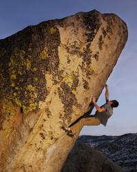 EPPB12-Buttermilks-dusk_200_6750 None