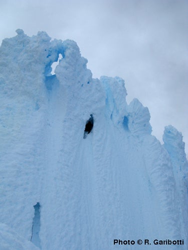 Haley leads the last pitch of the Ferra Haley leads the last pitch of the Ferrari route on Cerro Torre's west ridge. Haley spent over four hours during one evening and the following morning…