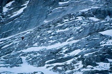 Steck Smashes Own Record on Eiger Steck Smashes Own Record on Eiger