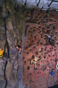 VerticalEndeavors-NHB-4_200_6450 None