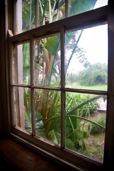 Rain-Out-our-Window_10671 None