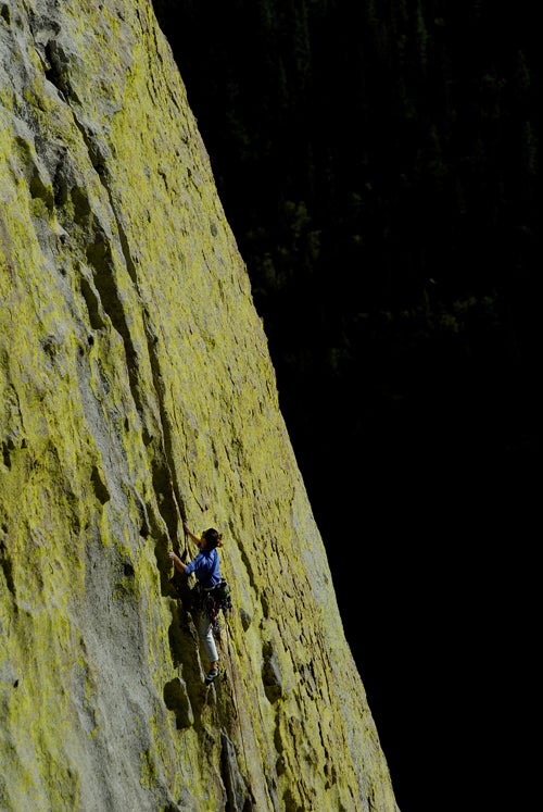 JamesQPhoto_Needles_02_yell_21797 None