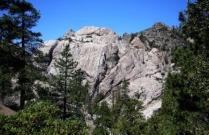 williamson-rock-af_22364 None