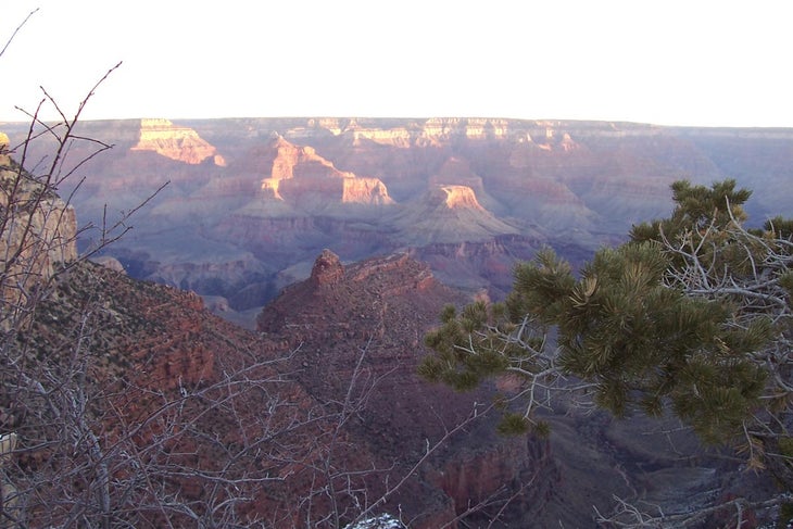 NRimGrand-Canyon_23271 None