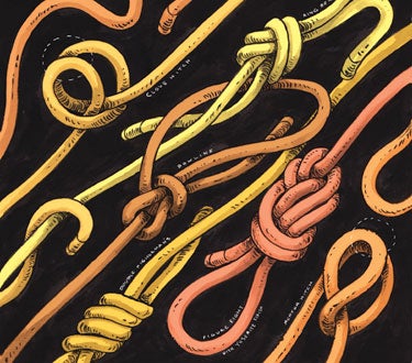 Knots-375_28504 None
