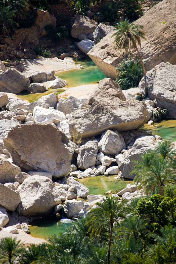 Wild-Wadis_29680 None