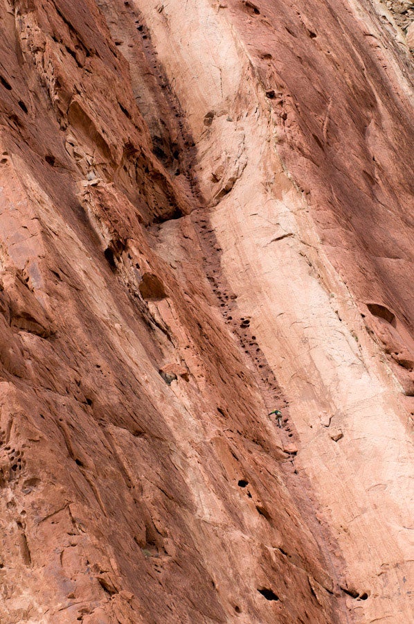 1000-Feet-of-Fun_34386 None