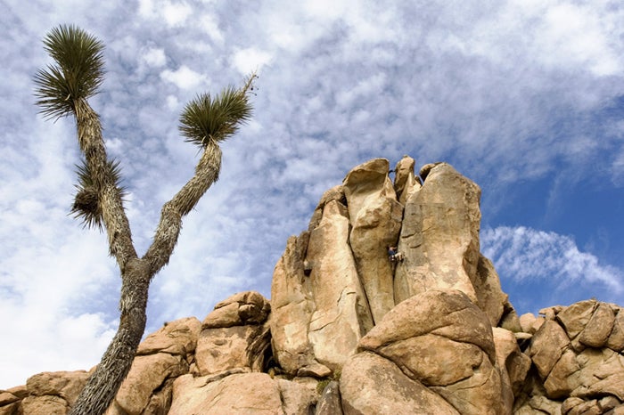 16_5781.jpg Right Banana Crack, Joshua Tree. Photo by Marshall Burke / www.stanford.edu/~mburke