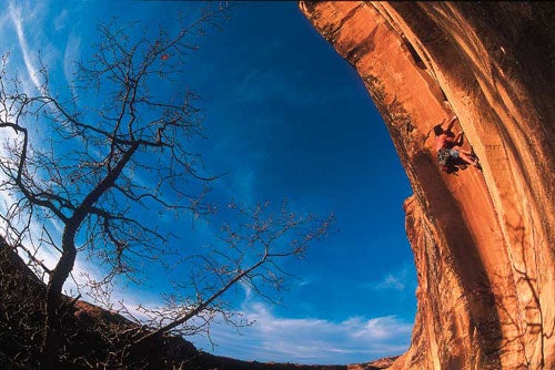 212- Michael Clark_2184.jpg Eric DeCaria pulling and pushing on Fat Boy Slim (5.11+), River Road cliffs, Moab, UT © Photo by Michael Clark