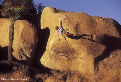 217- Aaron Black2_2198.jpg Joel Ruscher goes for a swing on the timeless dyno of Saturday Night Live (V3), Joshua Tree, CA © Photo by Aaron Black