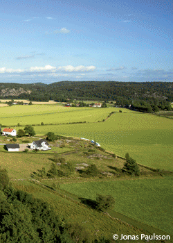 American-Meatballs-269cover_2582.gif AMERICAN MEATBALLS - Two Yanks Taste Humble Pie on the Superb Granite of SwedenBy Mike Brumbaugh - Sweden: this serene Scandinavian country conjures…