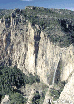Basaseachic-Mexico-2009_2672.gif Parque Nacional de Basaseachic - Chihuahua, Mexico Being about the size and depth of Colorado's Black Canyon, the immense and expansive area of…