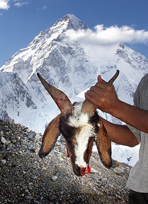 boermans-broadpeak10_1170.jpg A goat is slaughtered by cook Abbas, K2 in the background.