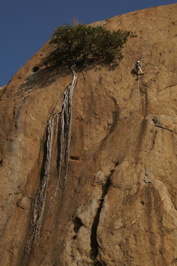 Bolts for Bangalore Sport Climbing in India Climbing