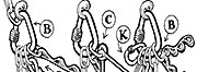 Climbing Magazine Tech Tips Climbing Magazine Tech Tips