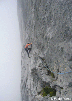 Coelophysis-Wendenstocke_2592.gif Italian Duo Completes 21-pitch 5.13 After three seasons of work, Matteo Della Bordella and Fabio Palma have completed Coelophysis, a 21-pitch 5.13c…