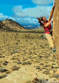 DESERT-SOLITAIRE-JTreeGems09_2691.gif DESERT SOLITAIREStory and photos by Todd Smith TIRED OF ROLLING UP TO JOSHUA TREE’S MEGA-CLASSICS only to find queues five parties deep? Well, so am…
