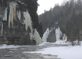 Festiglace Report Festiglace Report