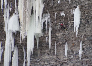 Festiglace Report Festiglace Report