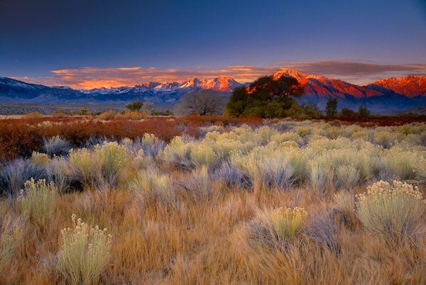 Galen-Owens-Valley_35785 None