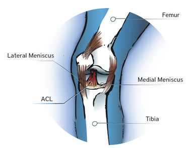 Injury-Proof Your Climber Knees Injury-Proof Your Climber Knees