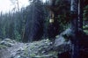 Mount-Zirkel-Area-sm_250 None