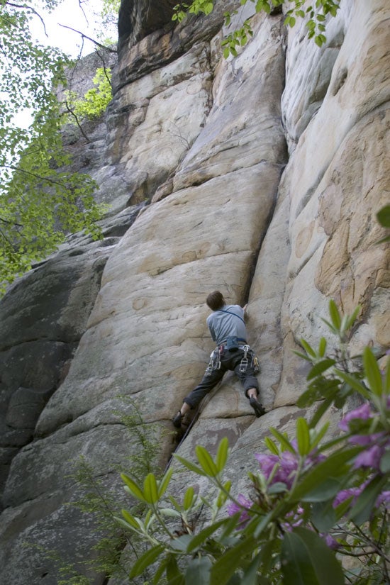 New_River_Rendezvous-23_6268.jpg © Devaki Murch