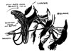 No-More-Tangles-sm_1799 None