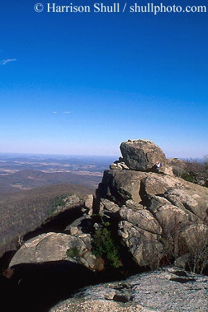 orgm0611_8207.jpg Zorba on Bouldering on the Summit, Old Rag Mountain, VA © Photo by Harrison Shull
