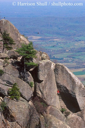 orgm2815_8208.jpg Bill Saul on Oh My God Corner, God Crags Old Rag Mountain, VA © Photo by Harrison Shull