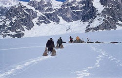 Remembering Denali's Greatest Rescue Remembering Denali's Greatest Rescue