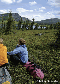 RespectYourAlders-Alaska277_2745.gif Respect Your AldersBy Emily Stifler and photos by Mikey Schaefer - Dome hunting in wild Alaska - July 2007: Kate Rutherford peered out the window of…