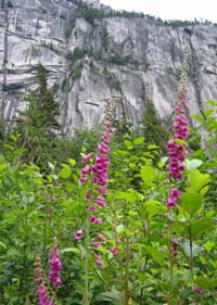 "RocTrip 2005 Update 1"