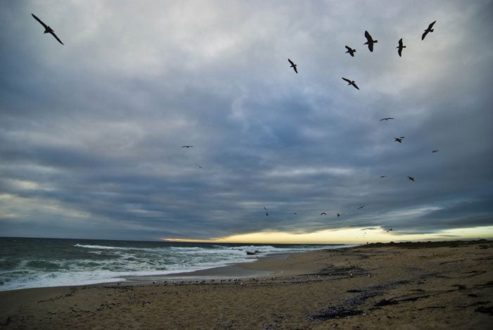 SA-10_1030.jpg The Coast at Lamperts Bay...