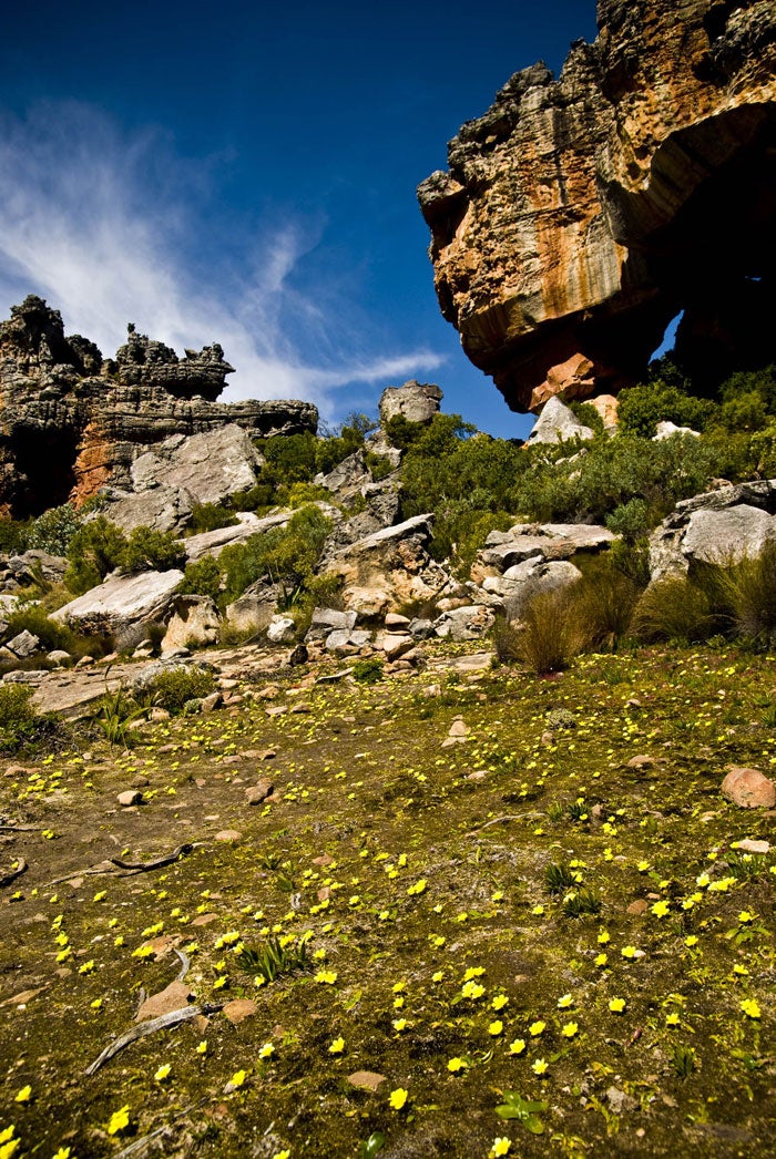 SA-21_1042.jpg Flowers at the Fortress