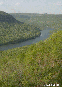T-Wall-BruceWilley09_2758.gif \