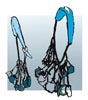 tttrad-278-gearsling-sm_1851 None