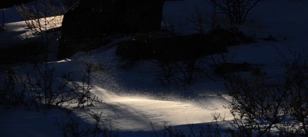 Wind-Blown-Snow-Red-Feather_3862.jpg Wind-Blown-Snow-Red-Feather
