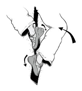 How-to-Foot-Jam-Illo-271x300 How-to-Foot-Jam-Illo