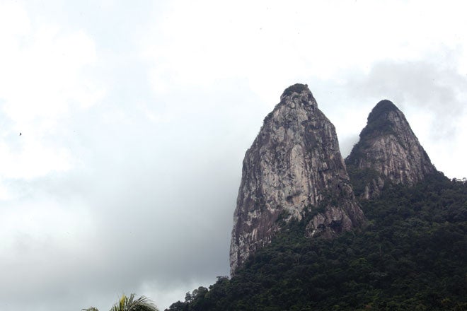 Dragons-Horns-Malaysia