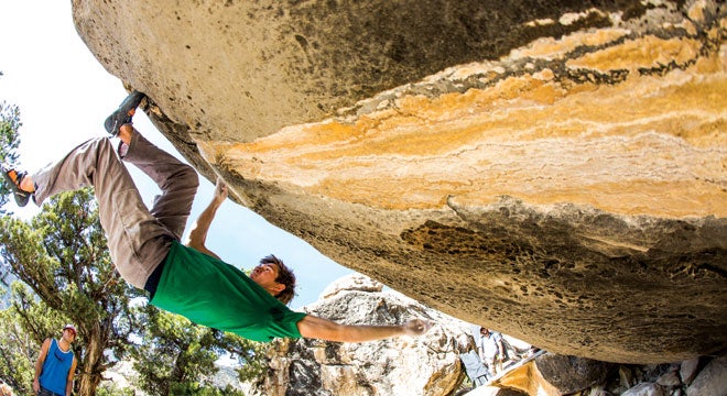 "Griffin-Whiteside-Resident-Featured"